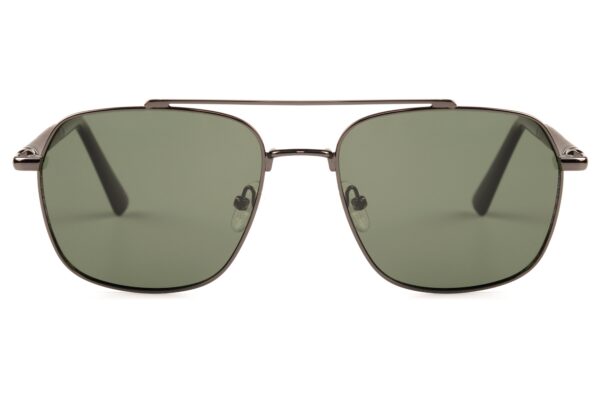 Hastings Sunglasses front view